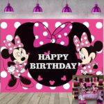 Minnie Mouse Theme Birthday Party Supplies