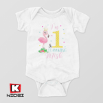 Flamingo 1ST birthday long sleeve outfit